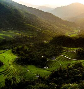 Transfer Land Use Rights in Vietnam