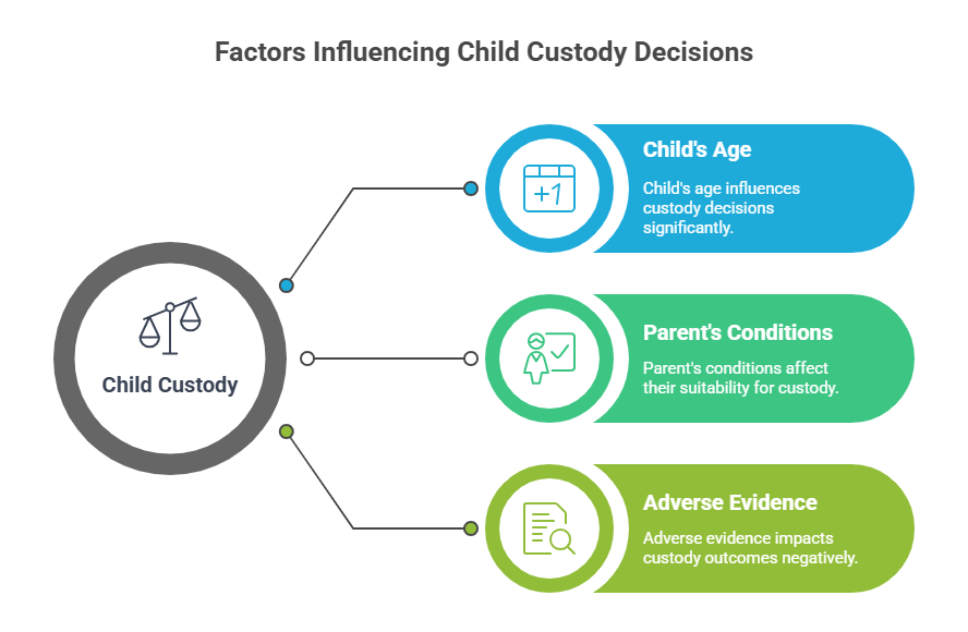Factors Influencing Child Custody Decisions
